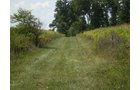 Property photo 12 - 40 Acres in 4 Tracts - Great Location!